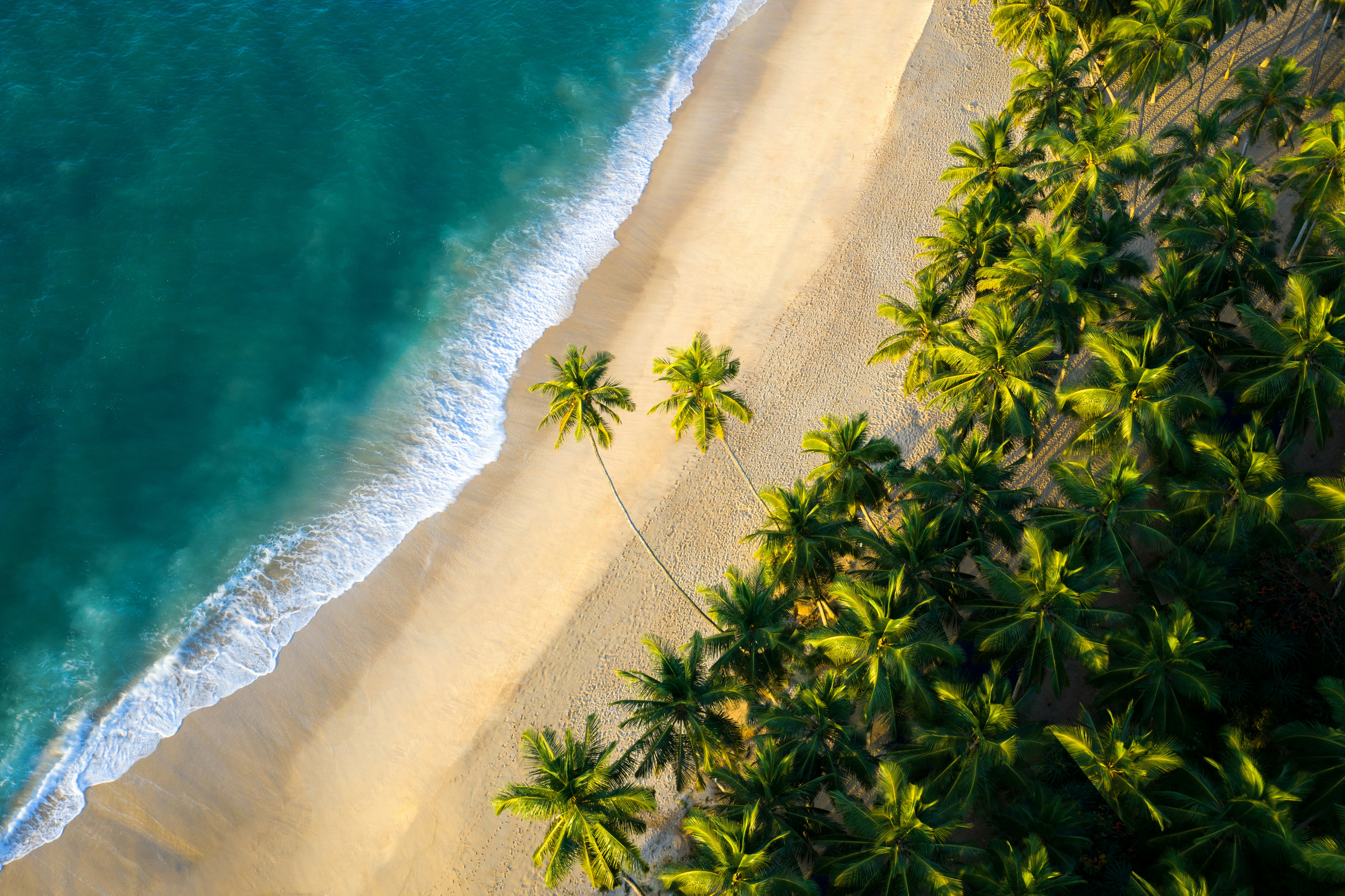 Sri Lanka landscape